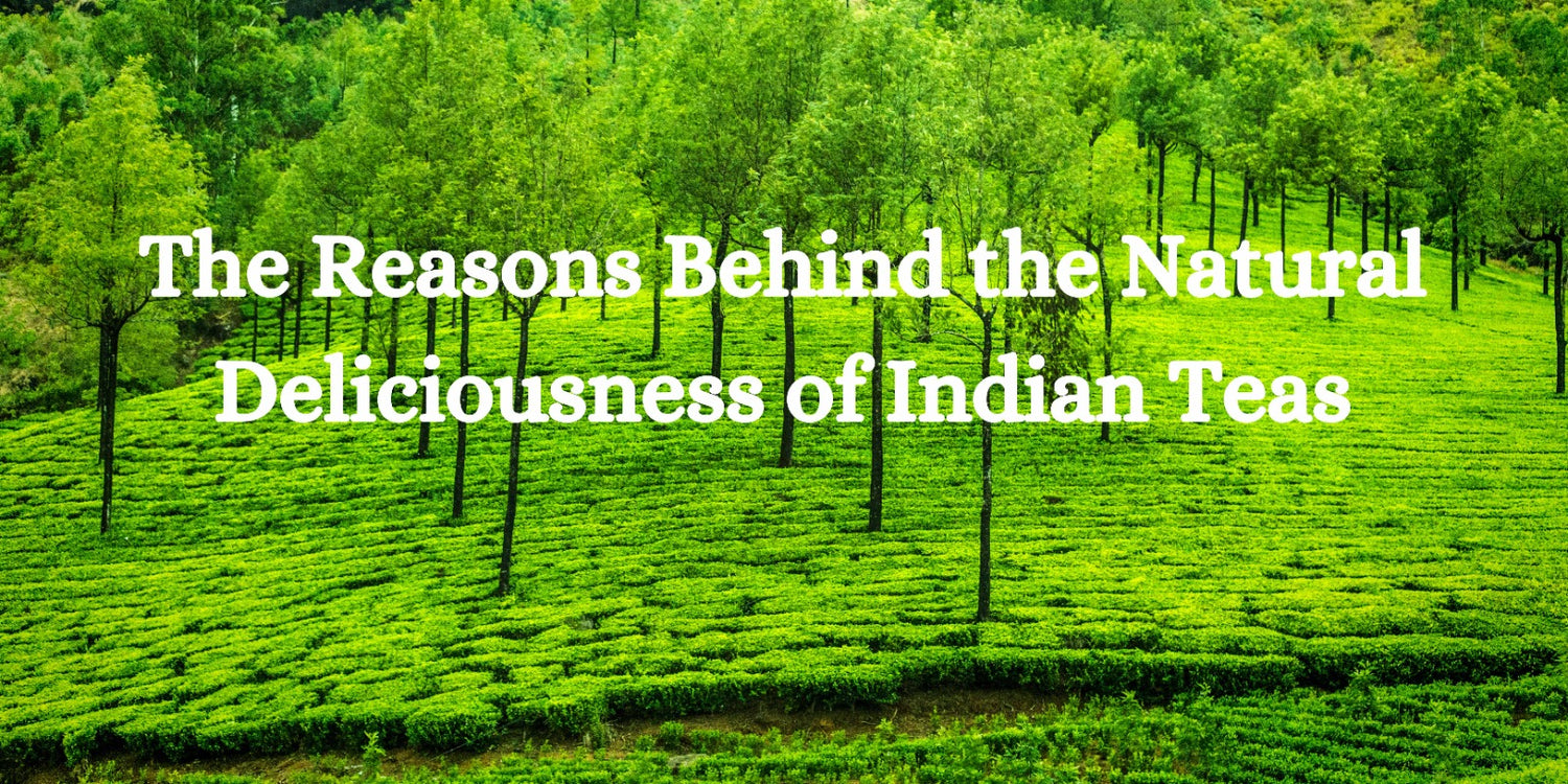 The Reasons Behind the Natural Deliciousness of Indian Teas