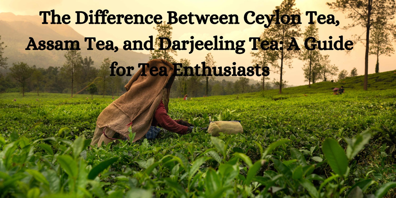 The Difference Between Ceylon Tea, Assam Tea, and Darjeeling Tea: A Guide for Tea Enthusiasts