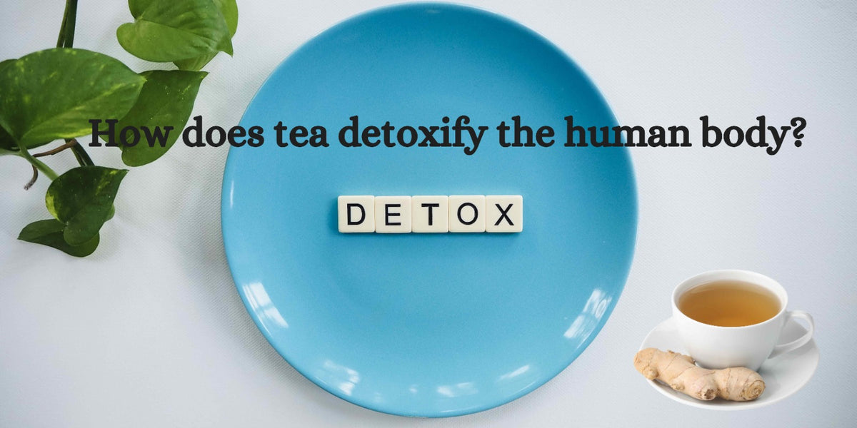 How does tea detoxify the human body?