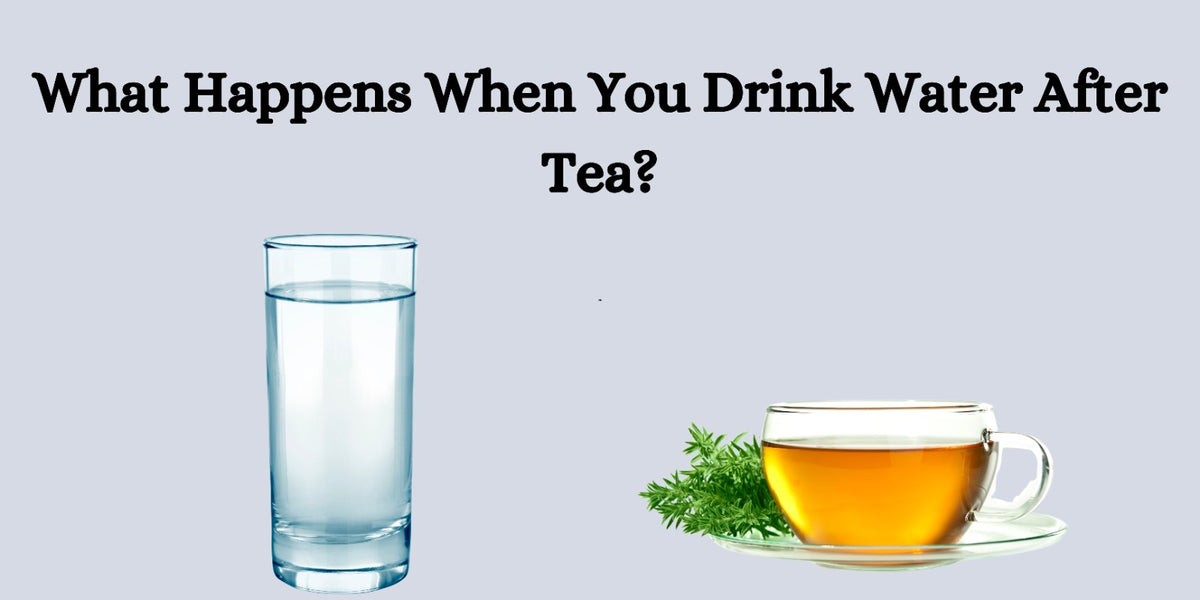 Aftara Tea What Happens When You Drink Water After Tea?