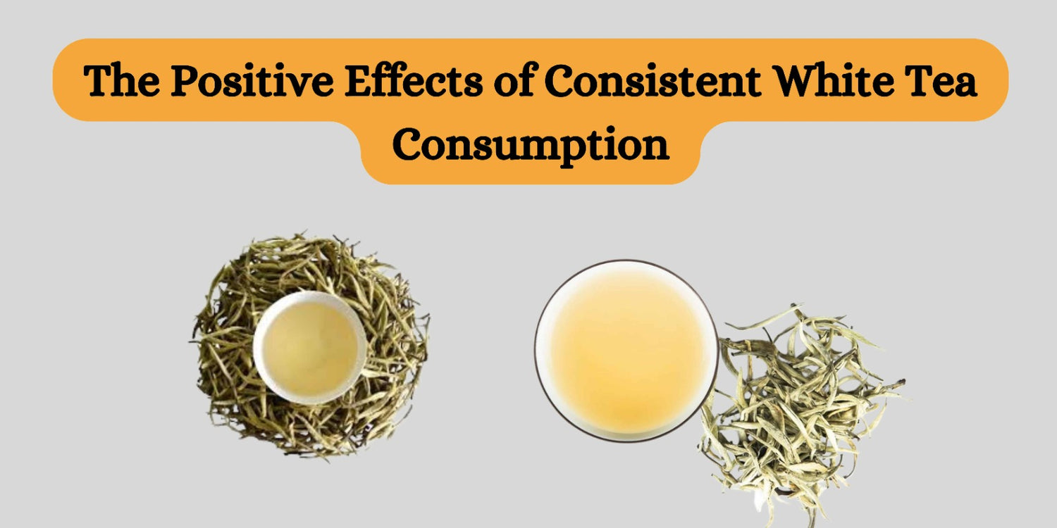 The Positive Effects of Consistent White Tea Consumption