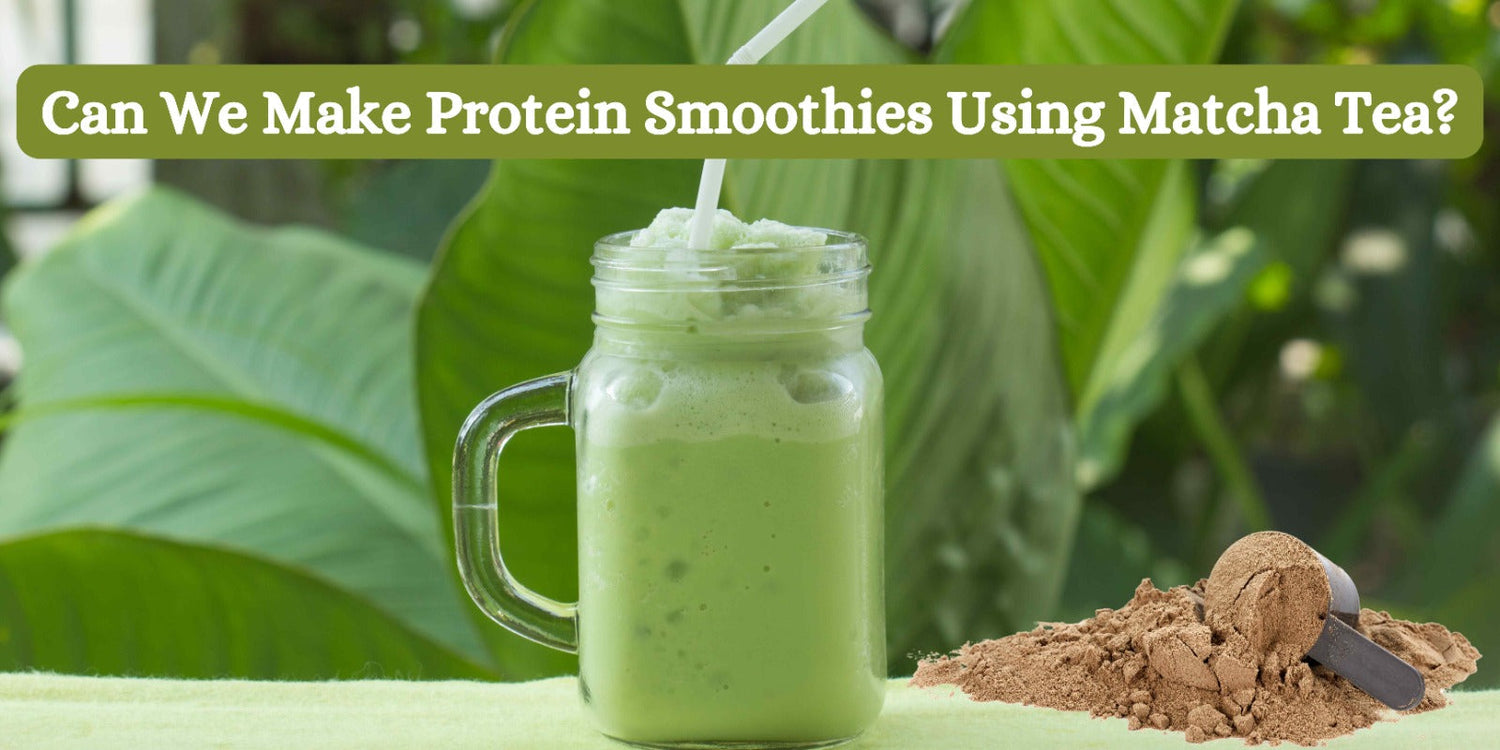 Can We Make Protein Smoothies Using Matcha Tea?