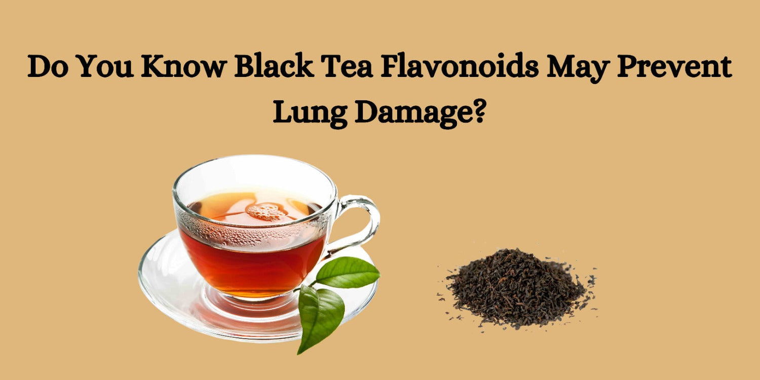Do You Know Black Tea Flavonoids May Prevent Lung Damage?