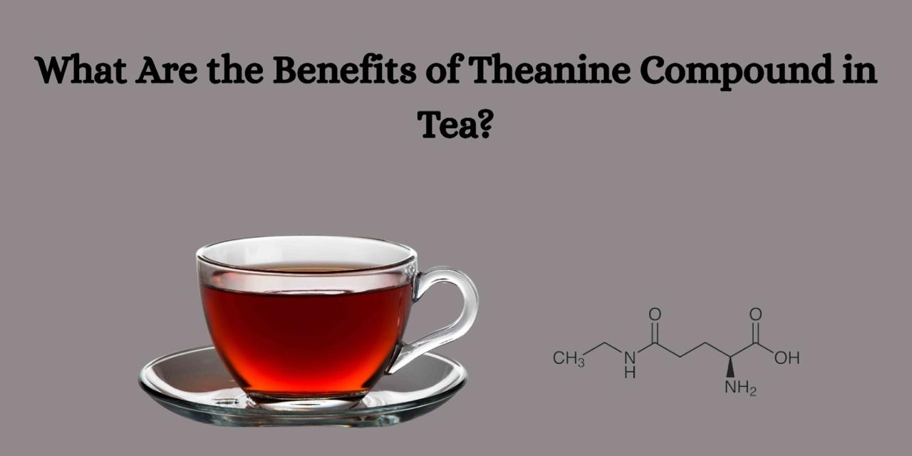 What Are the Benefits of Theanine Compound in Tea?