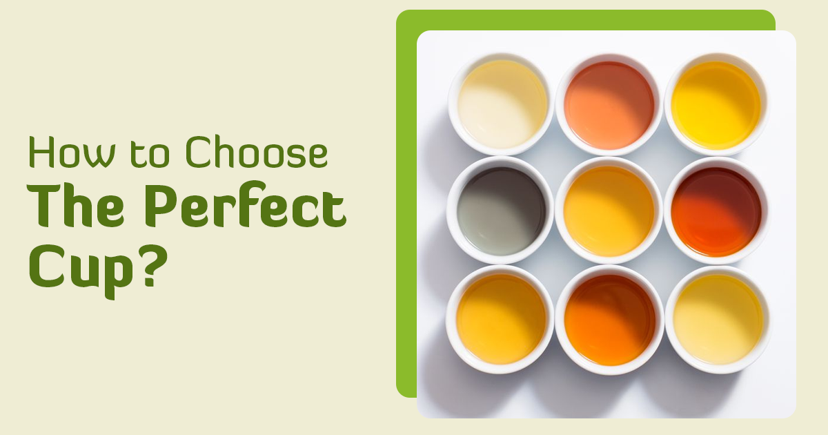 How to Choose the Perfect Cup 
