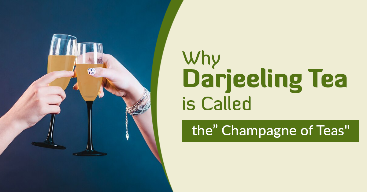 Darjeeling Tea: Why It Is Called “The Champagne of Teas”
